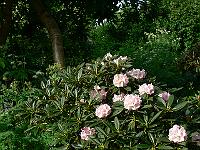 2008-05-29_07-12-06_0175