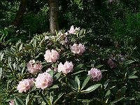 2008-05-29_07-12-06_0178