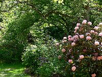 2008-05-29_10-11-33_0017