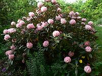 2008-05-29_11-05-15_0050