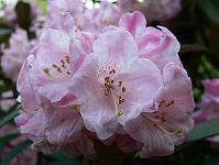 2008-05-29_11-05-15_0097