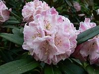 2008-05-29_11-05-15_0103