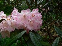 2011-05-29_09-38-47_0028