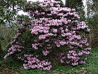 2011-04-13_15-51-24_0039