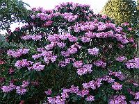 2009-04-05_17-55-24_0100