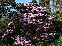 2011-04-11_15-49-53_0058
