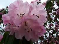 18-04-05kodak_109