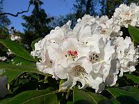 09-05-2006_19-06-49_62