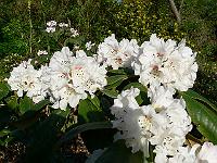 09-05-2006_19-07-12_68