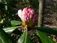 2011-04-20_14-24-59_0063