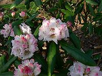2011-04-22_08-04-06_0027