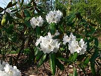 2011-04-29_07-28-53_0135
