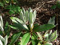 20-05-2007_16-54-31_27