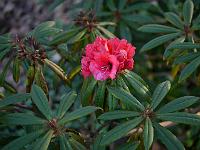 2012-03-25_17-27-25_0061