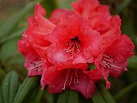 2012-03-28_16-29-07_0167