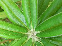 31-05-2006_13-51-50_79