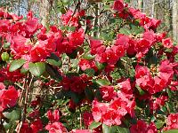 2015-04-22-08-44-57