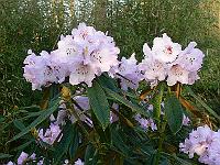 01-05-2006_07-53-38_276