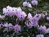 03-05-2006_06-24-38_171