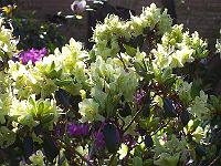 12-05-05kodak_143