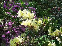 18-05-05kodak_210