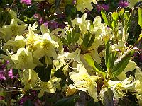 18-05-05kodak_225
