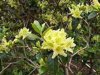 24-05-05kodak_343