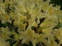 25-05-05kodak_037