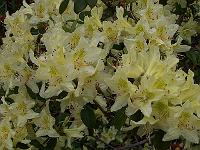 25-05-05kodak_039