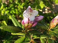 18-05-05kodak_352