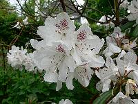 2011-05-27_09-22-51_0162