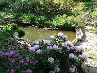 11-05-2006_10-08-03_158