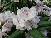 15-05-2007_09-15-00_25