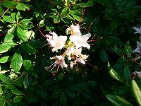 09-06-2007_18-52-45_82