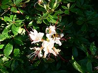 09-06-2007_18-53-02_87