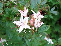 16-06-0kodak_131