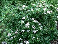 2008-06-01_07-45-39_0041