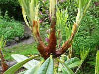 01-06-2006_10-00-37_16