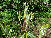 04-06-2006_11-03-27_26