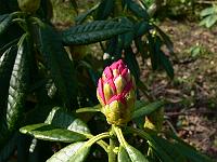 2009-04-23_09-38-43_0125
