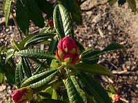 2009-04-24_06-38-59_0010