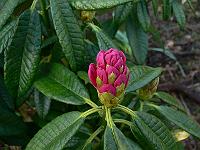 2009-04-24_06-39-56_0016