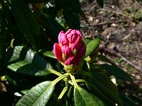 2009-04-24_10-45-17_0005
