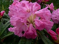 2009-04-27_13-08-57_0086