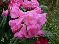 2009-04-27_13-10-00_0102