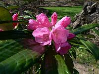2011-04-24_13-46-34_0042