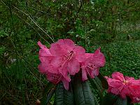 26-04-2008_20-57-11_44