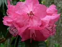 28-04-2008_21-38-59_174