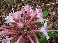 2009-05-26_10-25-25_0043