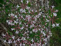 2011-05-26_16-22-11_0029